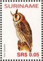 Striped Owl (Asio clamator)